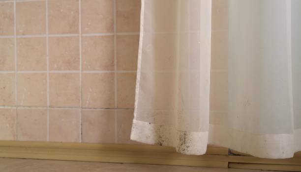 Best Mold Odor Removal Services  in Elk Grove, CA