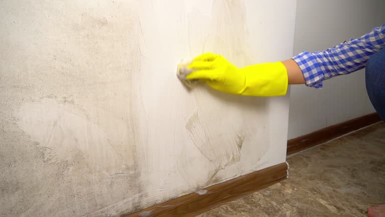 Best Emergency Mold Remediation  in Elk Grove, CA